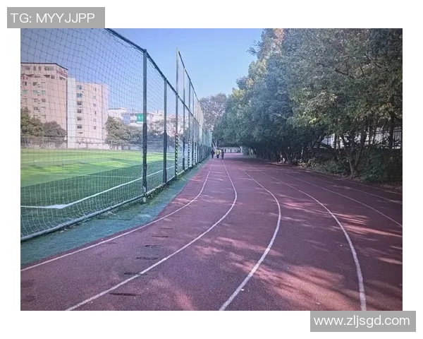 杭州羽毛球队的崛起之路:从青涩梦想到奥运舞台的辉煌历程