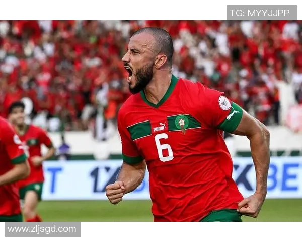 南非与坦桑尼亚足球对决展现非洲足球魅力与竞争力 南非与坦桑尼亚足球对决展现非洲足球魅力与竞争力