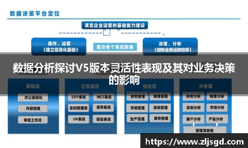 数据分析探讨V5版本灵活性表现及其对业务决策的影响