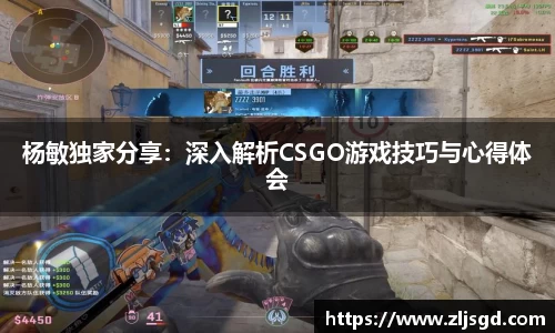 杨敏独家分享：深入解析CSGO游戏技巧与心得体会